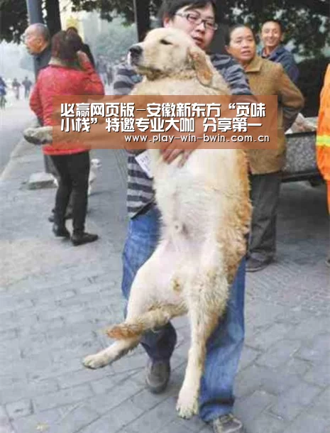 必赢网页版-安徽新东方“觅味小栈”特邀专业大咖 分享第一线西点店运营现状(图2) 必赢